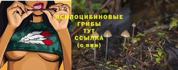 молекула духа Горно-Алтайск