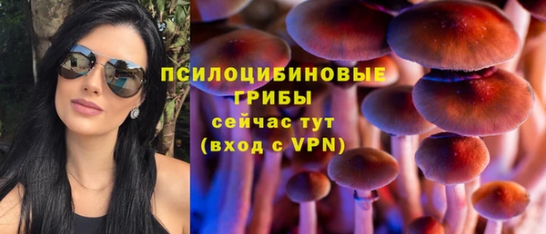 PSILOCYBIN Щигры
